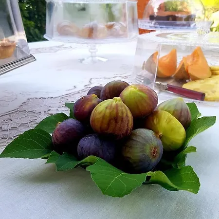 Terre Di Vendicari Noto